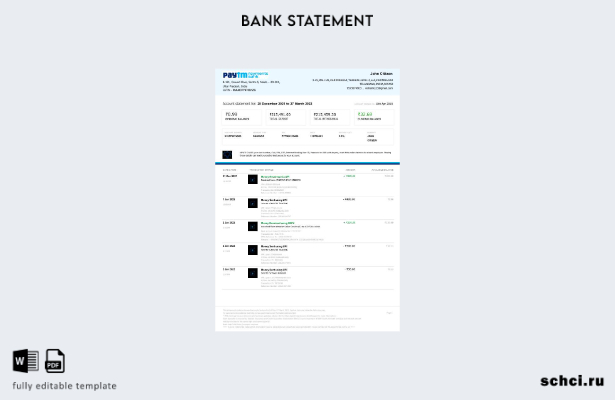 цифровая загрузка шаблона страницы банковской выписки India Paytm Payments